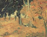 Vincent Van Gogh, The Garden of Saint-Paul Hospital (nn04)